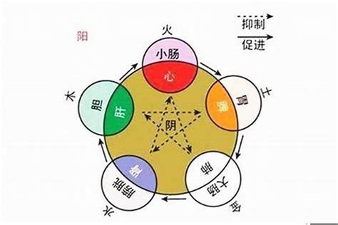 銘五行|铭的五行属性